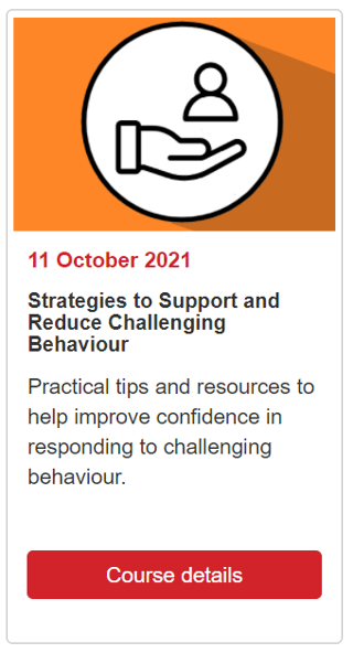 Thumbnail Image: Strategies to support and reduce challenging behaviour