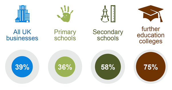 Breaches Survey overview