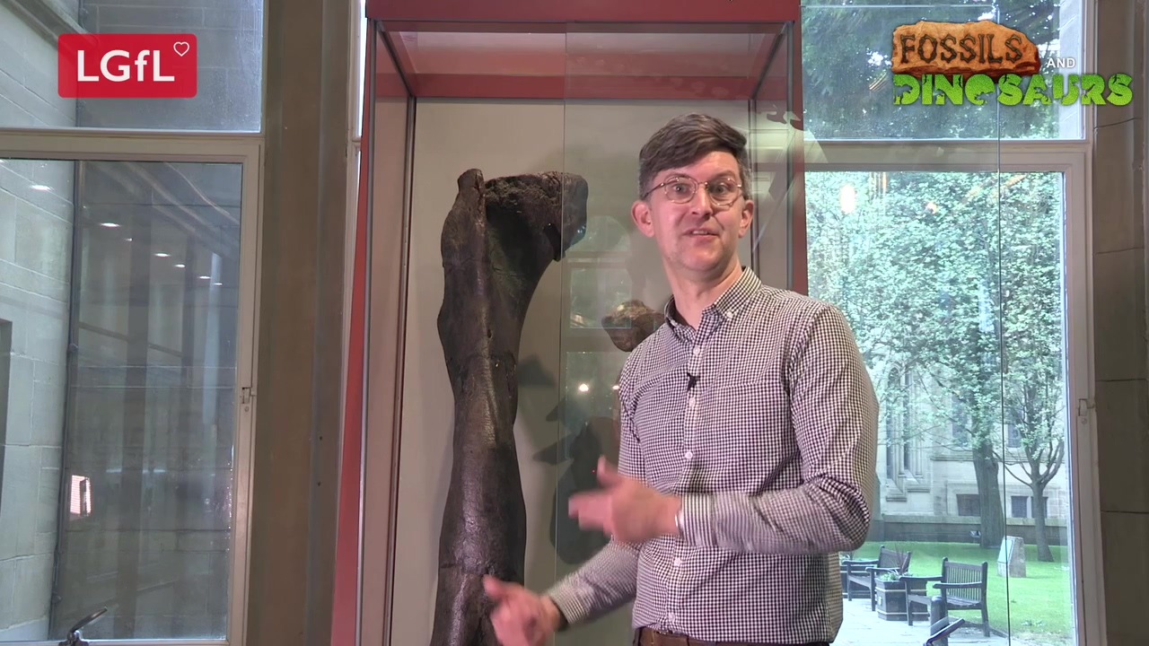 Dinosaurswalkthroughv2mov